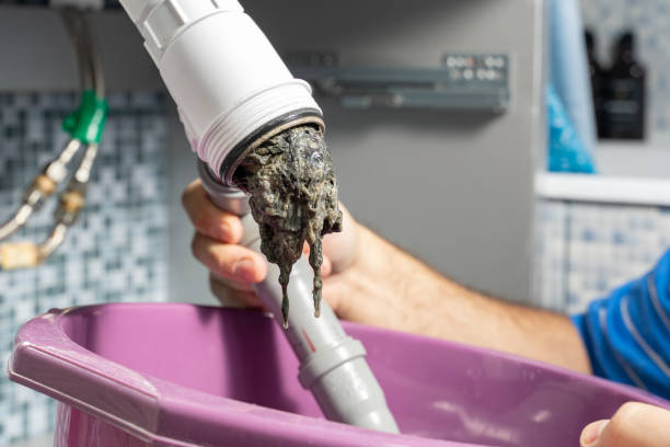 Flushing Away Troubles: Essential Maintenance for Healthy Drains