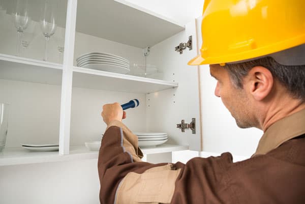 Experience the Excellence of Pest Control Las Vegas Services