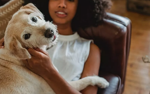 Tailored for Tails: Embrace Pet-Friendly Apartment Living