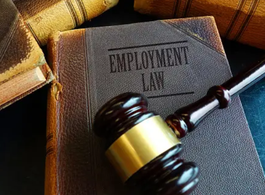 Expert Employment Lawyer Services: Protecting Your Rights