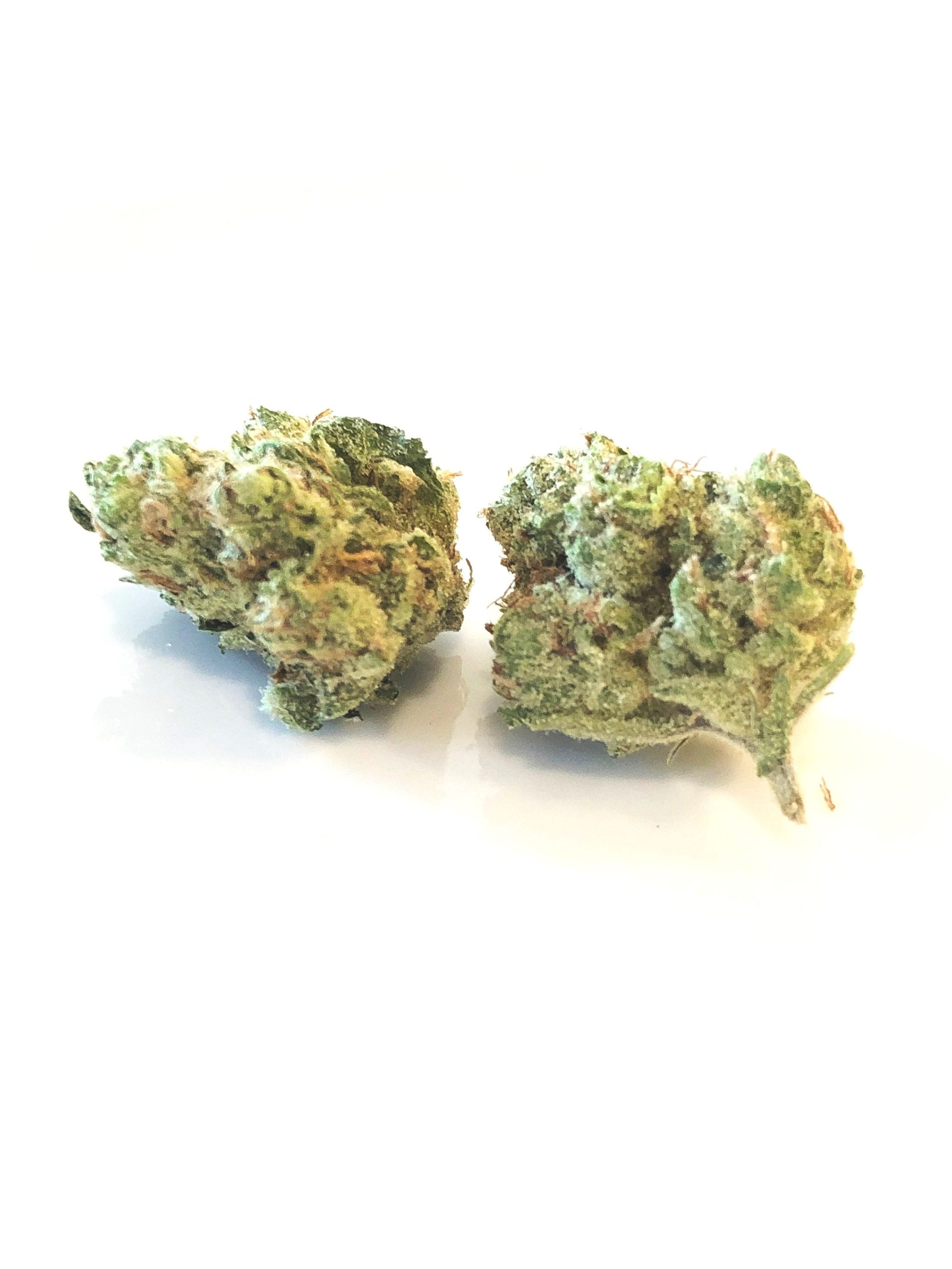 The Art of Cannabis Curation: Gifted Curators DC Weed