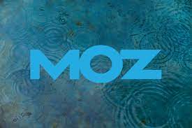 Moz Pro Medium: The SEO Adventure Awaits