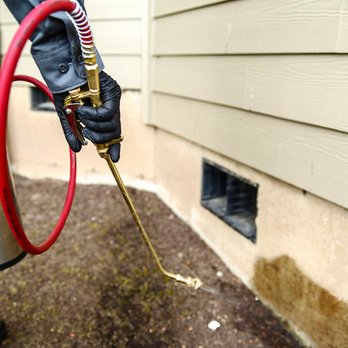 Trustworthy Pest Extermination in Las Vegas