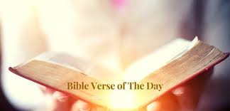 Daily Devotion: Seek Guidance in Today’s Bible Verse