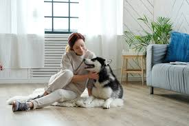Indulge in Luxury with Your Four-Legged Friend in Fort Collins