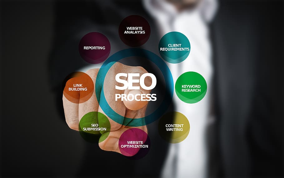 SEO Evolution: The Gray Line Guide to Digital Domination