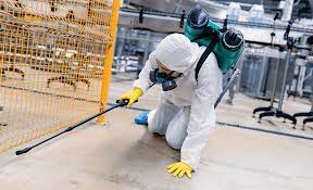 Eco-Warm and friendly Pest Control: Guarding Your Property along with the Setting