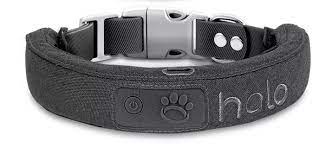 Maximize Your Dog’s Safety with Halo Dog Collar