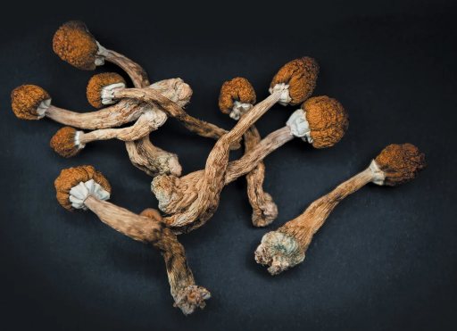 Studying the Ideas-Transforming Unwanted side effects of DC Shrooms