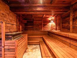 Infrared Saunas: A Solution to Modern Health Issues?