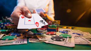 Why Verified Casinos Should Be Your Go-To Gambling Platform