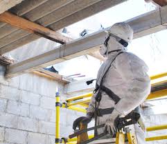 Legal Requirements for Conducting an Asbestos Survey