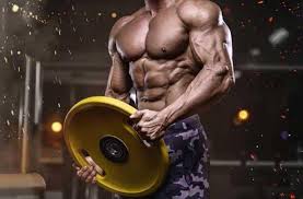 Why Use Ideal to Buy Anabolics Online
